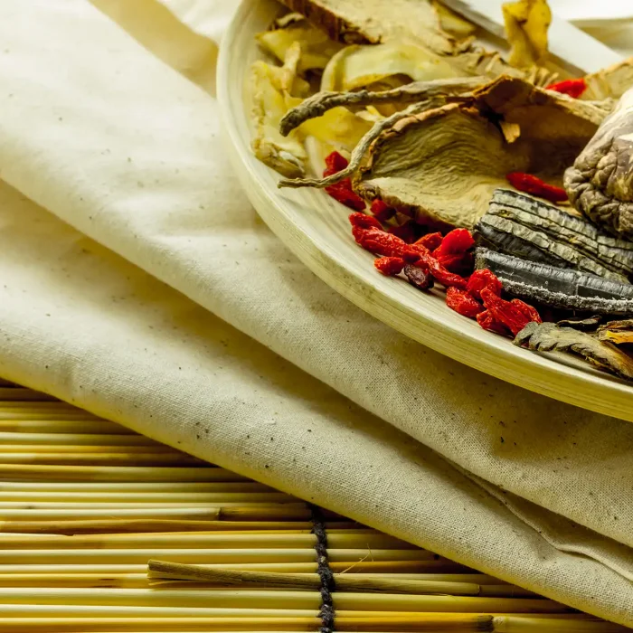 Traditionelle Vitalpilze aus der TCM
