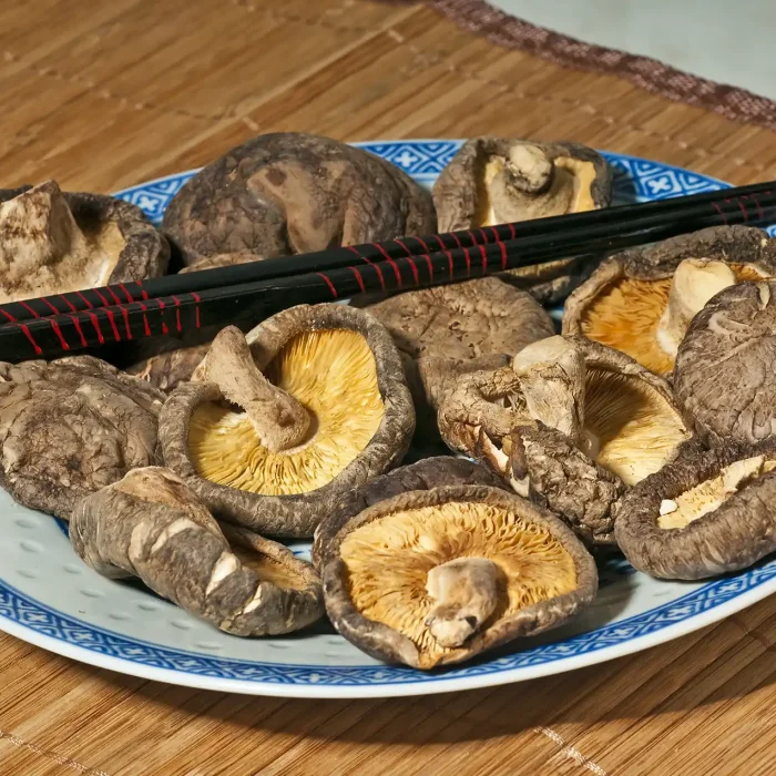 Traditionelle Vitalpilze aus der TCM