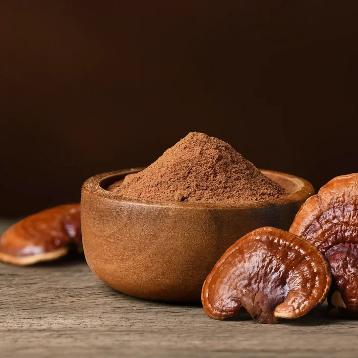 Pilzpulver und Extrakte in Bio-Qualität